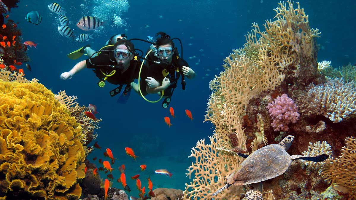 Exciting scuba diving in Goa Explore underwater wonders