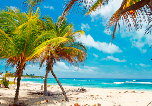 north and south goa sightseeing