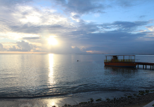 one day sightseeing in north goa